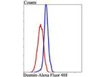 Desmin Antibody in Flow Cytometry (Flow)