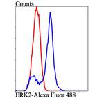 ERK2 Antibody in Flow Cytometry (Flow)