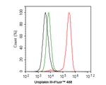 UPK3A Antibody in Flow Cytometry (Flow)