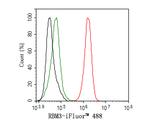 RBM3 Antibody in Flow Cytometry (Flow)