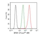 RPS8 Antibody in Flow Cytometry (Flow)