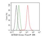 ACTR1B Antibody in Flow Cytometry (Flow)