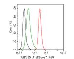 Napsin A Antibody in Flow Cytometry (Flow)