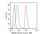 ACAT2 Antibody in Flow Cytometry (Flow)