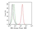 RCL Antibody in Flow Cytometry (Flow)