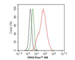 K-Ras Antibody in Flow Cytometry (Flow)