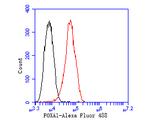 FOXA1 Antibody in Flow Cytometry (Flow)