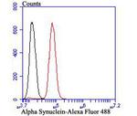 alpha Synuclein Antibody in Flow Cytometry (Flow)