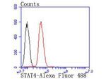 STAT4 Antibody in Flow Cytometry (Flow)