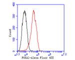 FOXA1 Antibody in Flow Cytometry (Flow)