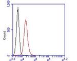 GATA3 Antibody in Flow Cytometry (Flow)