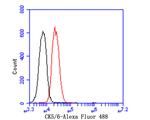 Cytokeratin 5/6 Antibody in Flow Cytometry (Flow)