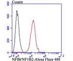 NFIB Antibody in Flow Cytometry (Flow)