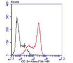 OX40 (CD134) Antibody in Western Blot (WB)