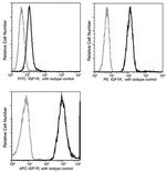 IGF1R (CD221) Antibody in Flow Cytometry (Flow)