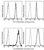 CD116 Antibody in Flow Cytometry (Flow)