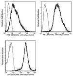 CEA Antibody in Flow Cytometry (Flow)