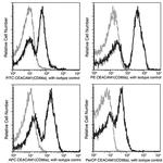 CEACAM1 Antibody in Flow Cytometry (Flow)