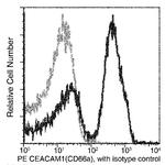 CEACAM1 Antibody in Flow Cytometry (Flow)