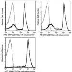 SIRP alpha Antibody in Flow Cytometry (Flow)