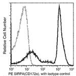 SIRP alpha Antibody in Flow Cytometry (Flow)