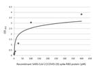 SARS-CoV-2 Spike Protein RBD (strain Wuhan-Hu-1) Antibody in ELISA (ELISA)