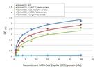 SARS-CoV-2 Spike Protein RBD (strain Wuhan-Hu-1) Antibody in ELISA (ELISA)