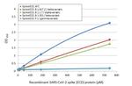 SARS-CoV-2 Spike Protein RBD (strain Wuhan-Hu-1) Antibody in ELISA (ELISA)