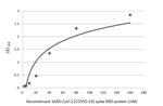 SARS-CoV-2 Spike Protein RBD (strain Wuhan-Hu-1) Antibody in ELISA (ELISA)