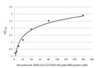 SARS-CoV-2 Spike Protein RBD (strain Wuhan-Hu-1) Antibody in ELISA (ELISA)