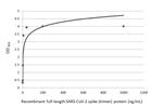 SARS-CoV-2 Spike Protein RBD (strain Wuhan-Hu-1) Antibody in ELISA (ELISA)