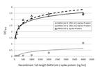 SARS-CoV-2 Spike Protein RBD (strain Wuhan-Hu-1) Antibody in ELISA (ELISA)