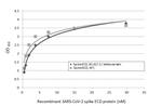 SARS-CoV-2 Spike Protein RBD (strain Wuhan-Hu-1) Antibody in ELISA (ELISA)