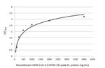 SARS-CoV-2 Spike Protein RBD (strain Wuhan-Hu-1) Antibody in ELISA (ELISA)