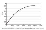 SARS-CoV-2 Spike Protein RBD (strain Wuhan-Hu-1) Antibody in ELISA (ELISA)