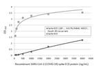 SARS-CoV-2 Spike Protein RBD (strain Wuhan-Hu-1) Antibody in ELISA (ELISA)