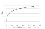 SARS-CoV-2 Spike Protein S2 Antibody in ELISA (ELISA)