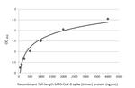 SARS-CoV-2 Spike Protein S2 Antibody in ELISA (ELISA)