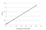 IL-1 beta Antibody in ELISA (ELISA)