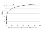 Epo Antibody in ELISA (ELISA)