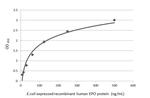 Epo Antibody in ELISA (ELISA)