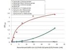 SARS-CoV-2 Spike Protein RBD Omicron Antibody in ELISA (ELISA)