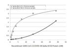 SARS-CoV-2 Spike Protein RBD Omicron Antibody in ELISA (ELISA)