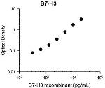 B7-H3 (CD276) Antibody in ELISA (ELISA)