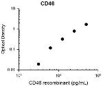 CD46 Antibody in ELISA (ELISA)