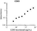 CD63 Antibody in ELISA (ELISA)