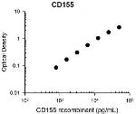 CD155 Antibody in ELISA (ELISA)