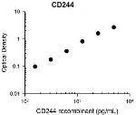 CD244 (2B4) Antibody in ELISA (ELISA)