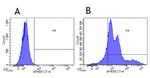 HLA-DR/DP/DQ Chimeric Antibody in Flow Cytometry (Flow)