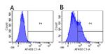 Daclizumab Chimeric Antibody in Flow Cytometry (Flow)